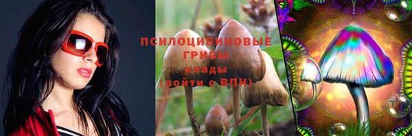 a pvp Медногорск